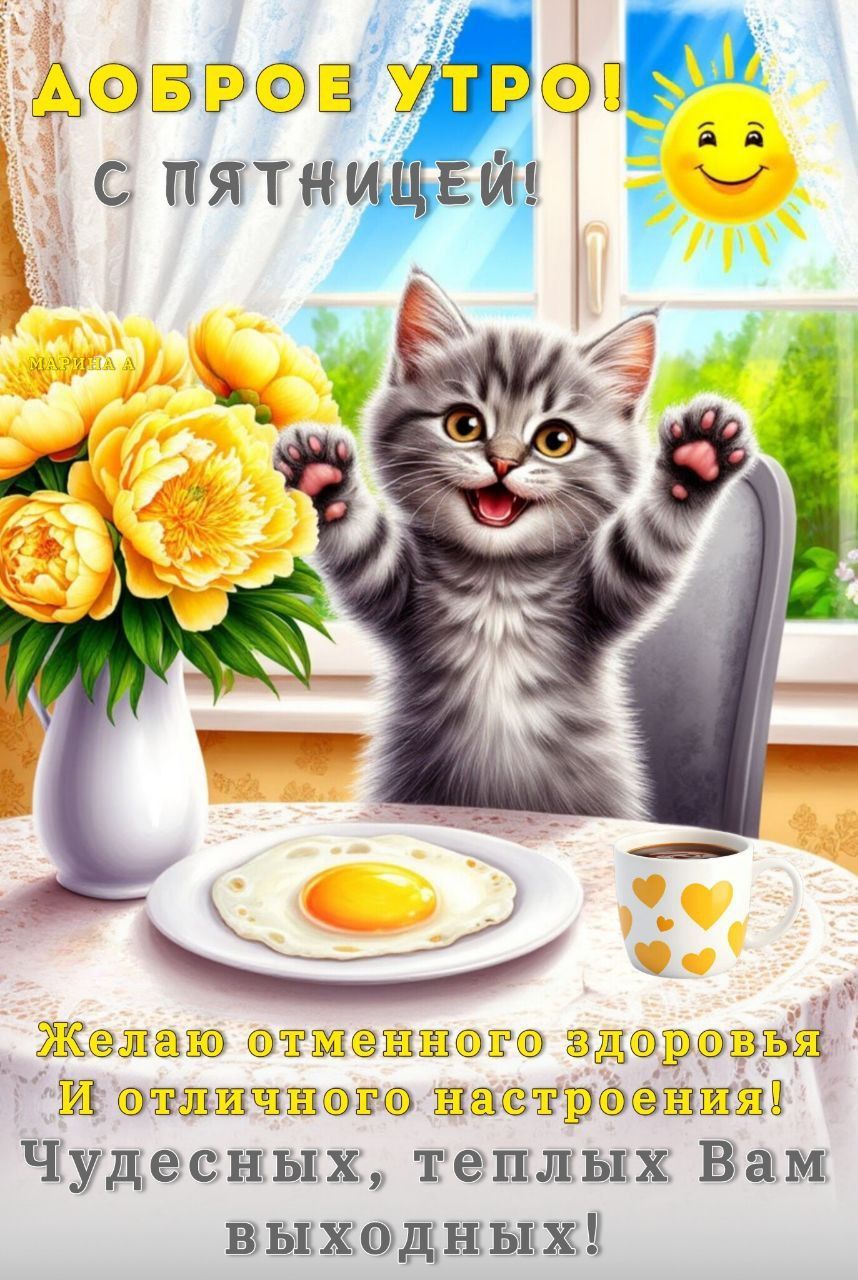 Открытка «С добрым утром»: Доброе утро пятницы! Котик желает чудесных выходных!. Тэги: кот, животное, пожелание…