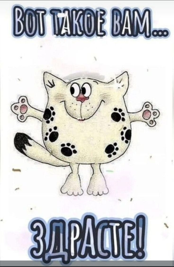 Открытка «С добрым утром»: С добрым утром! Вот такое вам Здрасте!. Тэги: кот, животное, пожелание, позитивная, отличн…