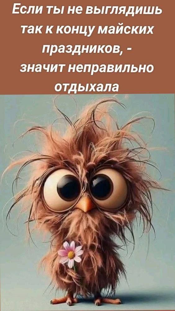 Открытка «С добрым утром»: С добрым утром! Вот так выглядят майские праздники. Тэги: животное, пожелание, позитивная…