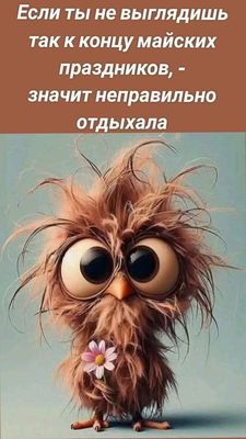 Открытка «С добрым утром»: С добрым утром! Вот так выглядят майские праздники. Тэги: животное, пожелание, позитивная…