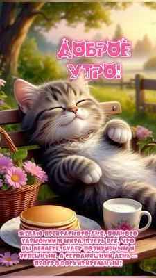 Открытка «С добрым утром»: Доброе утро: милый котик и тёплые пожелания. Тэги: кот, животное, пожелание, отличное наст…