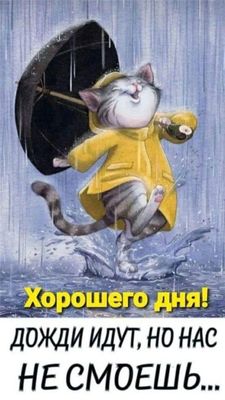 Открытка «С добрым утром»: С добрым утром: дождь не испортит день!. Тэги: кот, животное, пожелание, хорошего дня…