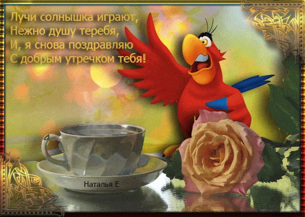 Открытка «С добрым утром»: Солнечное доброе утро: попугай, роза и тепло. Тэги: животное, пожелание, улыбка, утро, друг…