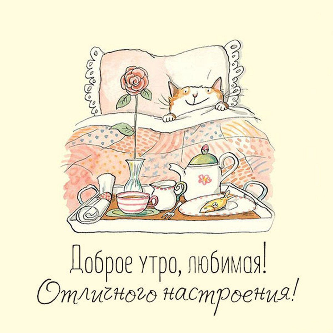 Открытка «С добрым утром»: Доброе утро, любимая! С заботой и уютом. Тэги: кот, животное, пожелание, позитивная…