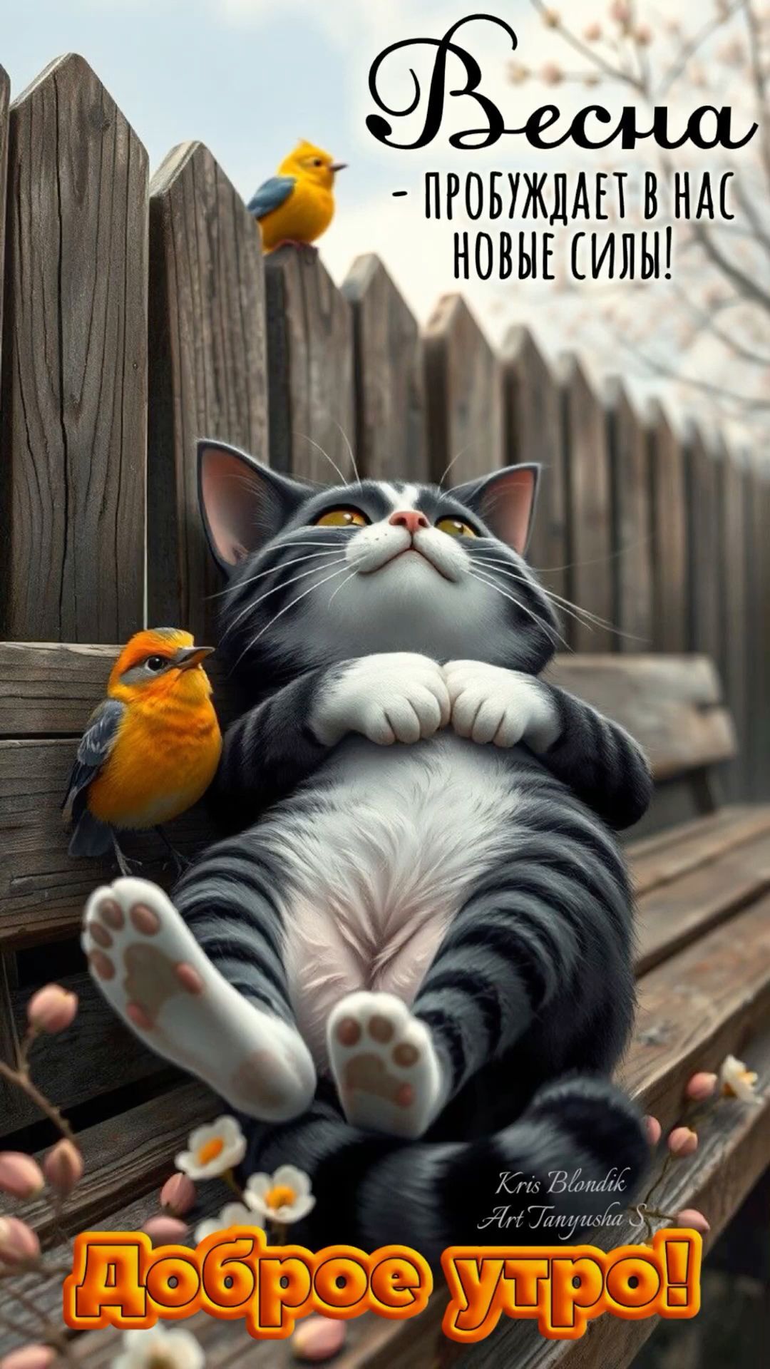 Открытка «С добрым утром»: Весеннее Доброе утро с котом и птицами. Тэги: кот, животное, пожелание, позитивная, хороше…