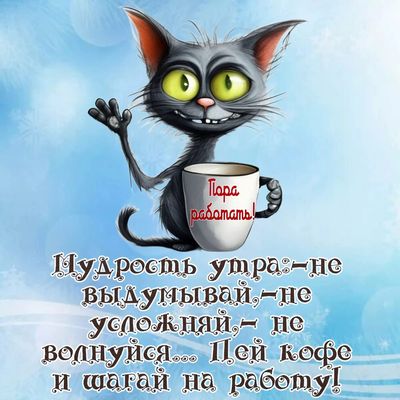 Открытка «С добрым утром»: С добрым утром! Кот, кофе и мудрость утра. Тэги: кот, животное, пожелание, позитивная…