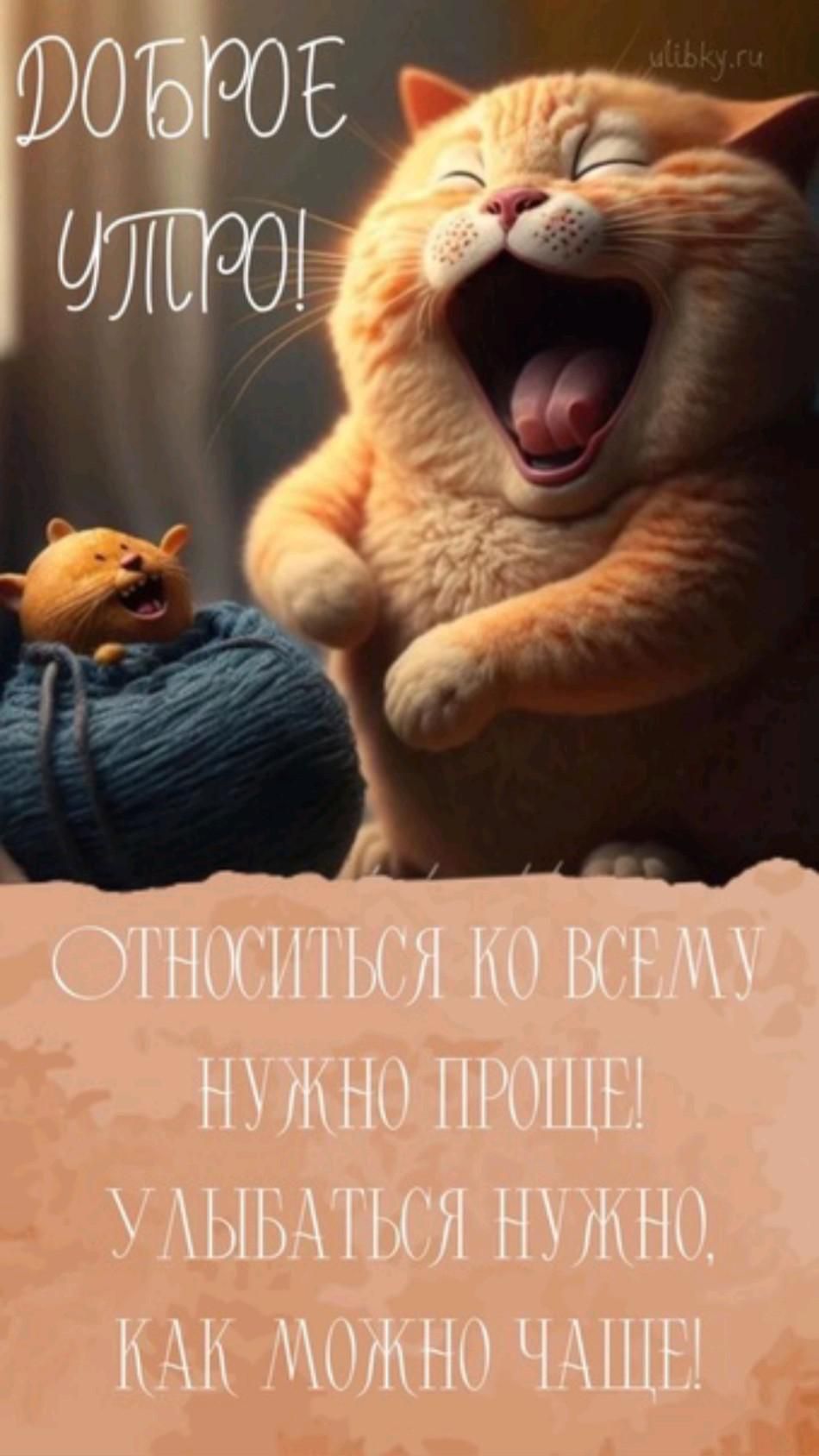 Открытка «С добрым утром»: С добрым утром! Улыбайся и будь проще!. Тэги: кот, животное, пожелание, юмор, прикольная…