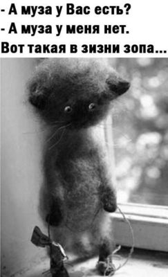 Открытка «С добрым утром»: С добрым утром: муза где-то потерялась. Тэги: кот, животное, пожелание, юмор, утро, позитив…