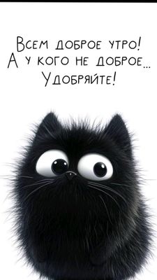 Открытка «С добрым утром»: Доброе утро! Пушистик желает удобрить настроение. Тэги: кот, животное, пожелание, юмор…