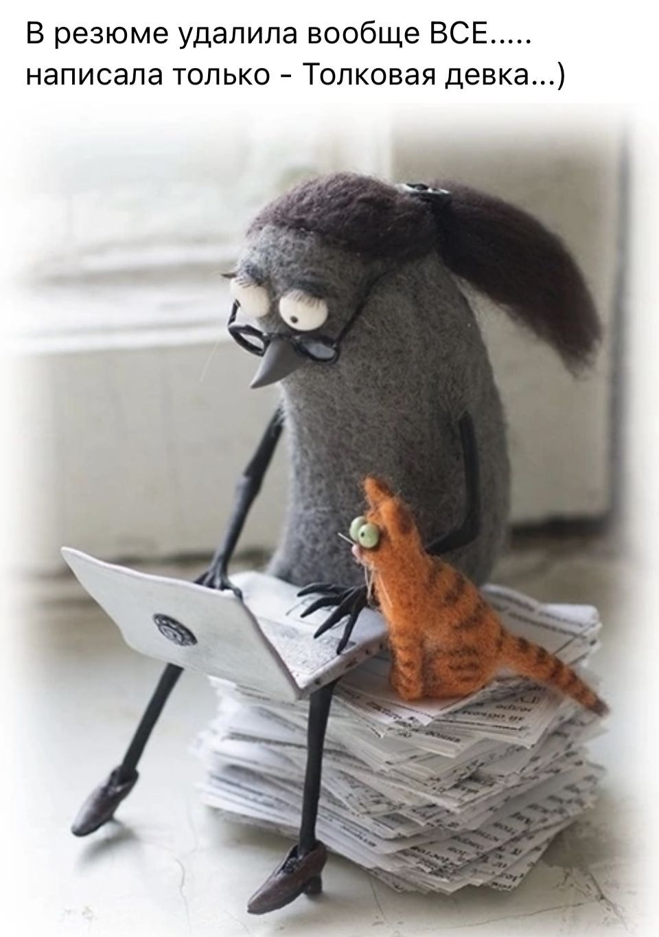 Открытка «С добрым утром»: С добрым утром от толковой девки с котом!. Тэги: кот, животное, пожелание, позитивная…