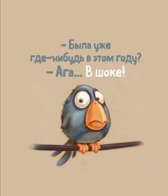 Открытка «С добрым утром»: С добрым утром! Уже успел побывать в шоке?. Тэги: пожелание, позитивная, юмор, прикольная…