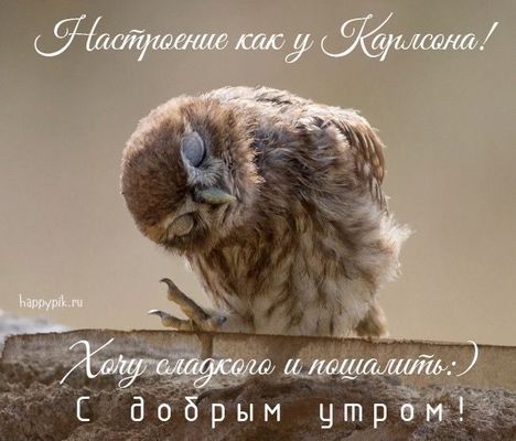 Открытка «С добрым утром»: С добрым утром: хочу сладкого и пошалить!. Тэги: животное, пожелание, отличное настроение…