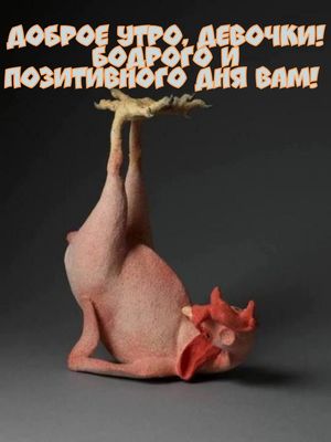 Открытка «С добрым утром»: Доброе утро, девочки! Бодрости и позитива. Тэги: животное, пожелание, отличное настроение…