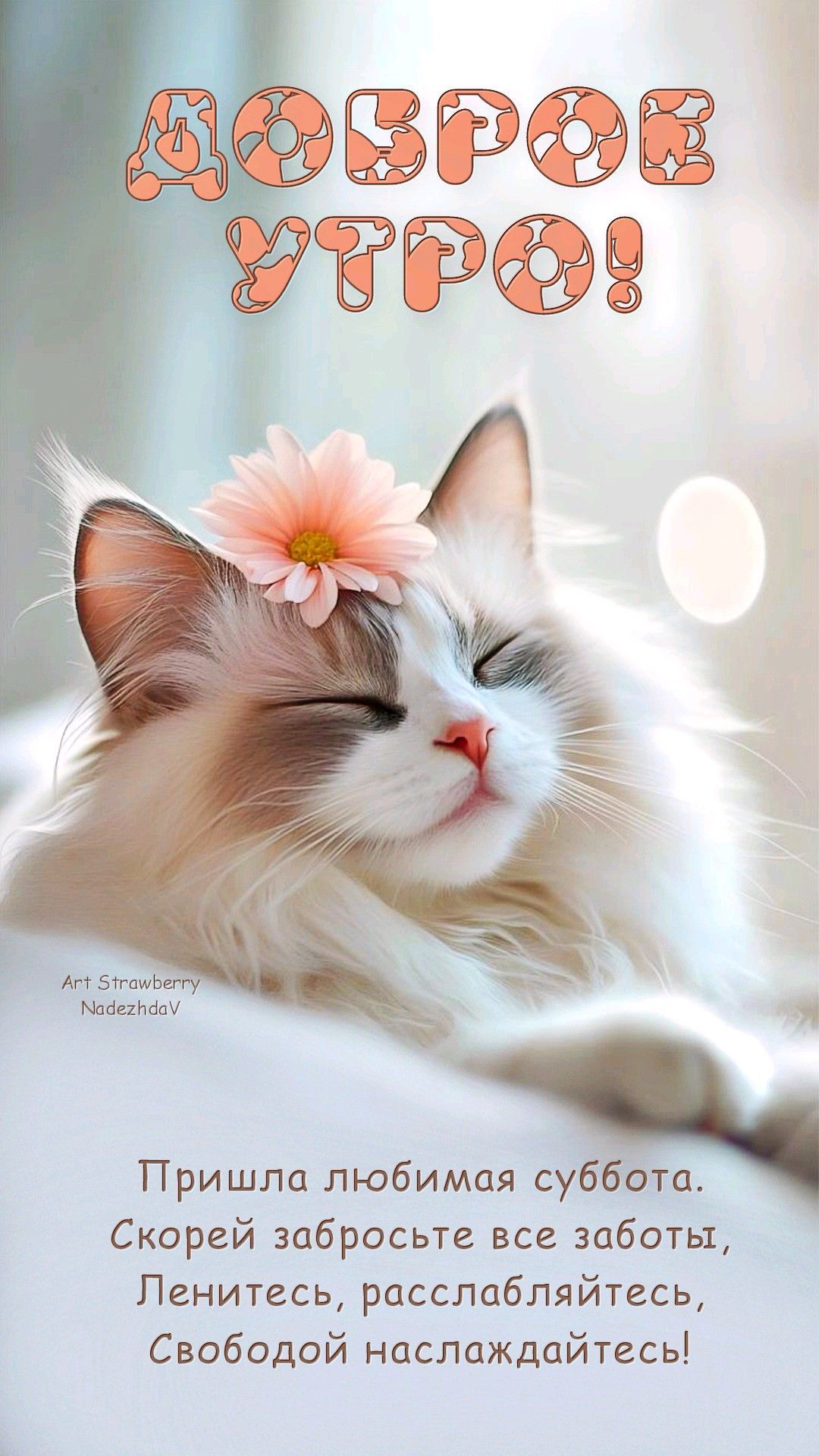 Открытка «С добрым утром»: Доброе утро! Пушистый кот и любимая суббота. Тэги: кот, животное, пожелание, позитивная…