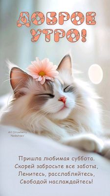 Открытка «С добрым утром»: Доброе утро! Пушистый кот и любимая суббота. Тэги: кот, животное, пожелание, позитивная…