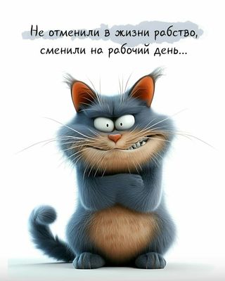 Открытка «С добрым утром»: С добрым утром! Кот о рабочем дне. Тэги: кот, животное, пожелание, отличное настроение…