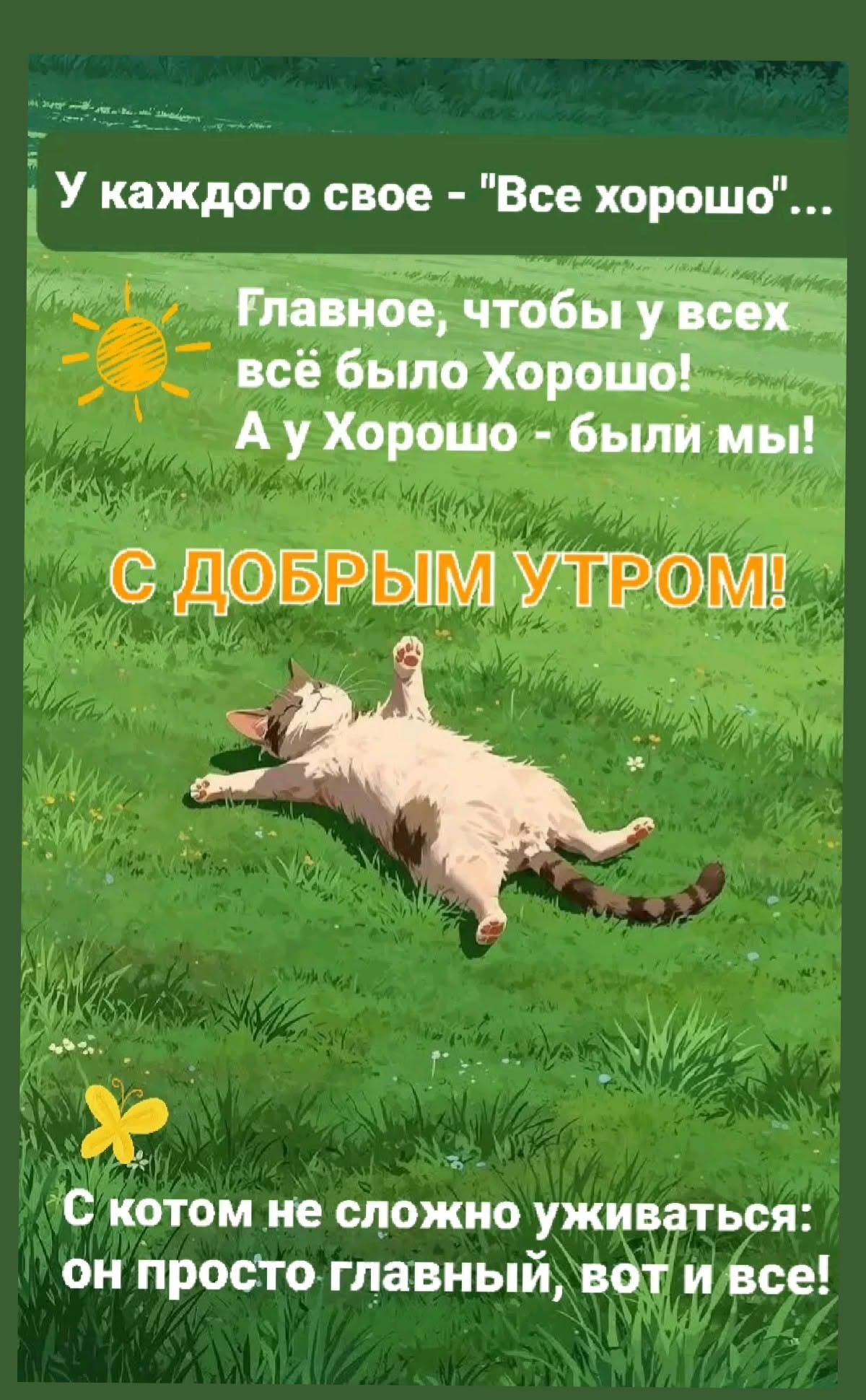Открытка «С добрым утром»: Доброе утро: главное, чтобы всё было хорошо!. Тэги: кот, животное, пожелание, юмор, прикол…