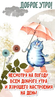 Открытка «С добрым утром»: Доброе утро: кот под зонтом и хорошее настроение. Тэги: кот, животное, пожелание, хорошего…