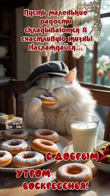 Открытка «С добрым утром»: Сладкое воскресное утро с пушистым другом!. Тэги: кот, животное, пожелание, шапка, утро…