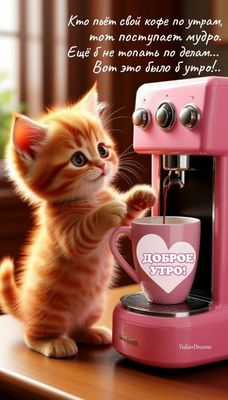 Открытка «С добрым утром»: Кофе, котёнок и мудрое доброе утро!. Тэги: кот, пожелание, прикольная, красивая, кофе…