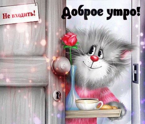 Открытка «С добрым утром»: Доброе утро с улыбкой пушистого кота. Тэги: кот, животное, пожелание, позитивная, юмор…