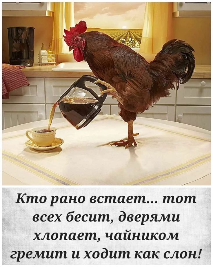 Открытка «С добрым утром»: С добрым утром: Кто рано встает, тот.... Тэги: животное, пожелание, отличное настроение…