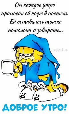 Открытка «С добрым утром»: Кофе в постель почти готов! С добрым утром!. Тэги: кот, животное, пожелание, отличное наст…