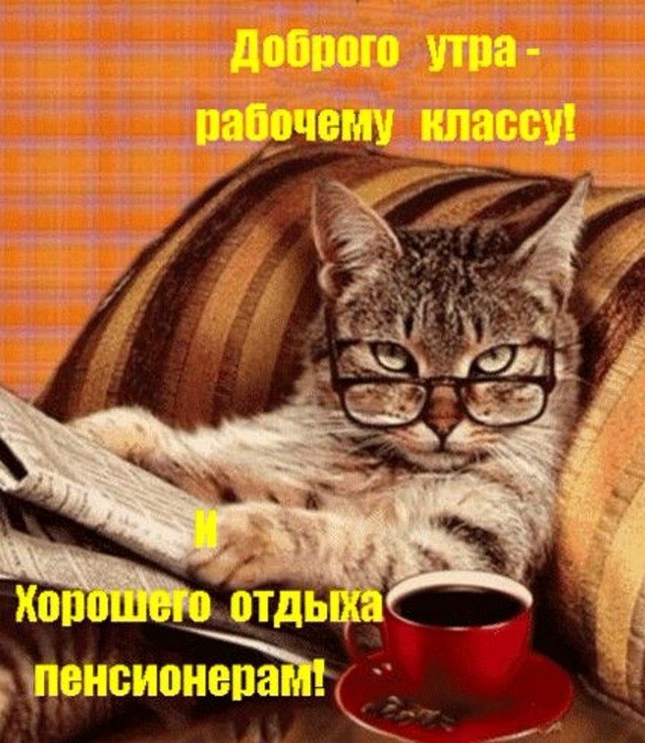Открытка «С добрым утром»: С добрым утром: рабочим класс, пенсионерам – отдых!. Тэги: кот, животное, пожелание…