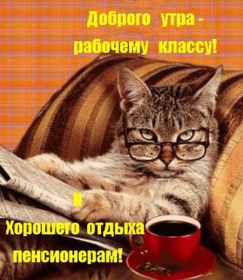 Открытка «С добрым утром»: С добрым утром: рабочим класс, пенсионерам – отдых!. Тэги: кот, животное, пожелание…