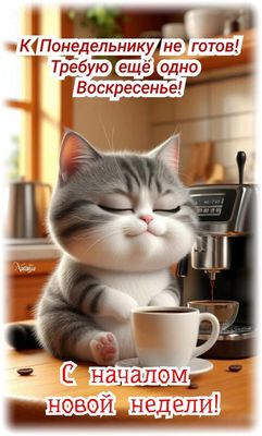 Открытка «С добрым утром»: С добрым утром: кот не готов к понедельнику!. Тэги: кот, животное, пожелание, позитивная…