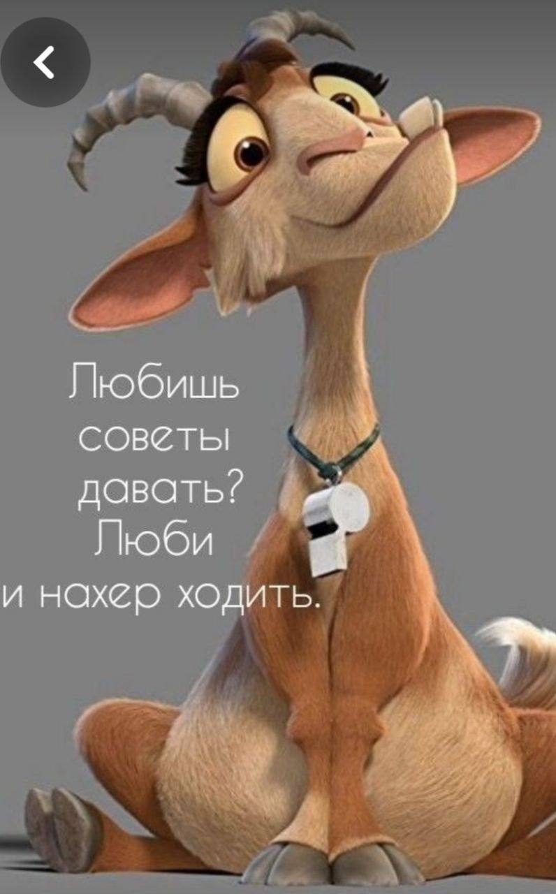 Открытка «С добрым утром»: С добрым утром! Очень ценный совет от козы.. Тэги: животное, пожелание, юмор, позитив, смех…