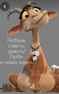 Открытка «С добрым утром»: С добрым утром! Очень ценный совет от козы.. Тэги: животное, пожелание, юмор, позитив, смех…