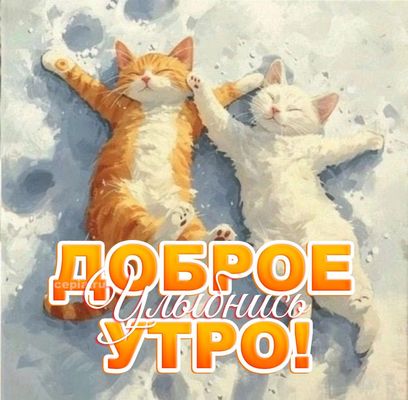 Открытка «С добрым утром»: Доброе утро с котиками: улыбнись новому дню!. Тэги: С добрым зимним утром, С добрым утром…