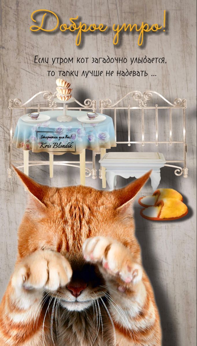 Открытка «С добрым утром»: С добрым утром! Кот, тапки и загадочная улыбка. Тэги: кот, животное, пожелание, позитивная…