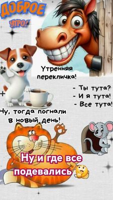 Открытка «С добрым утром»: Утренняя перекличка: Доброе утро и погнали!. Тэги: кот, животное, пожелание, юмор, улыбка…