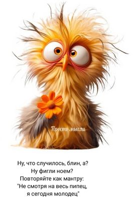 Открытка «С добрым утром»: С добрым утром! Сегодня я молодец!. Тэги: хорошего дня, животное, пожелание, позитивная…