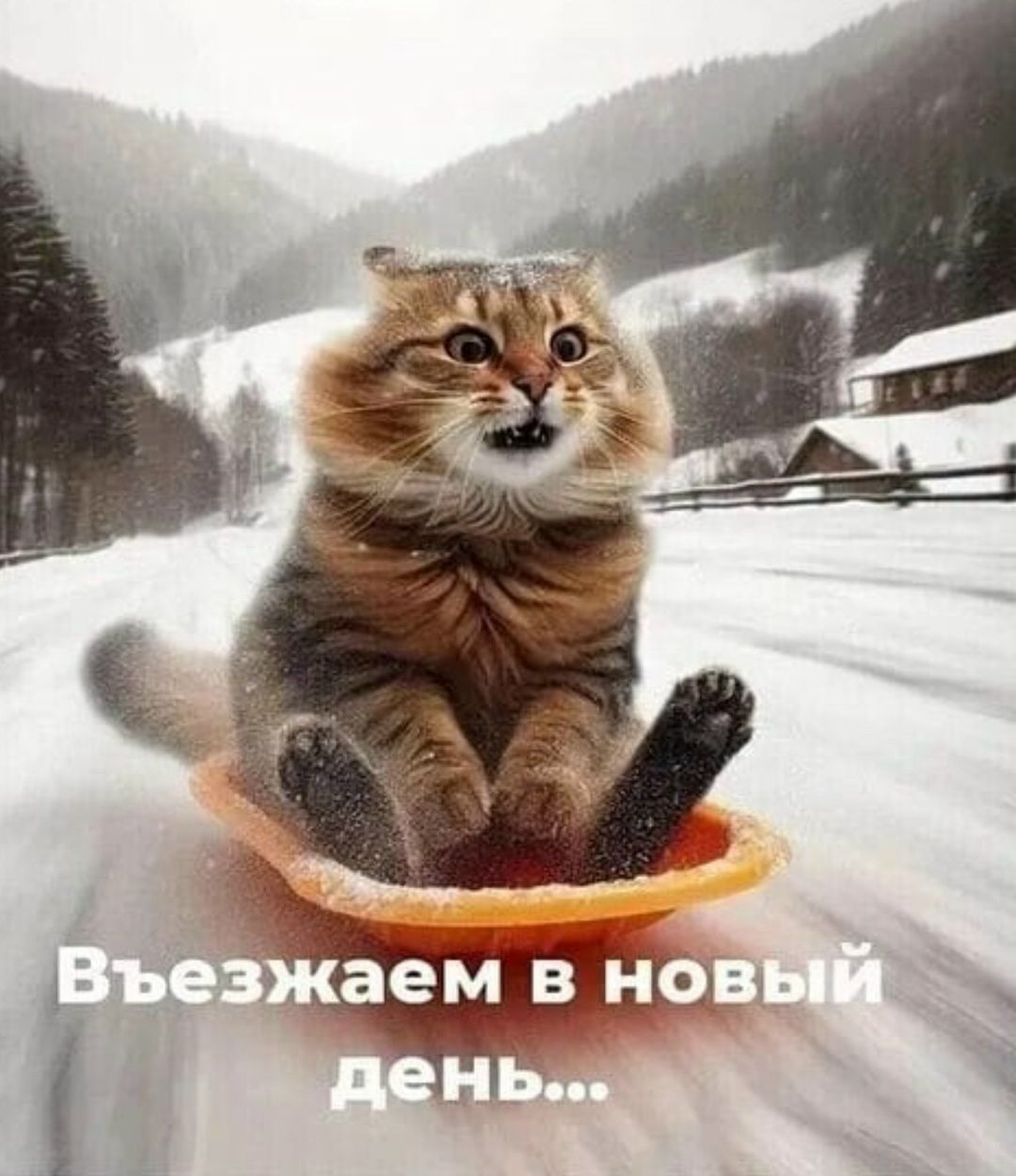 Открытка «С добрым утром»: С добрым утром! Веселый старт в новый зимний день. Тэги: кот, животное, пожелание, позитив…