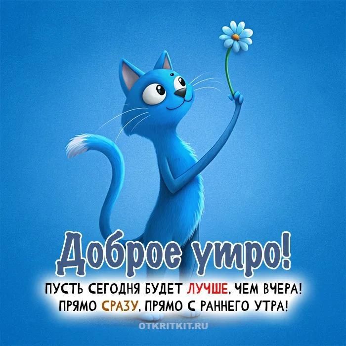 Открытка «С добрым утром»: Доброе утро: милый кот желает лучшего дня!. Тэги: хорошего дня, кот, животное, пожелание…
