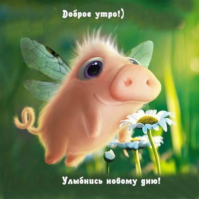 Открытка «С добрым утром»: Улыбнись новому дню! Доброе утро от милого друга. Тэги: животное, пожелание, отличное наст…