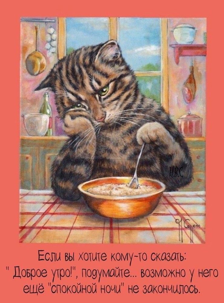Открытка «С добрым утром»: Кот-соня: Доброе утро, если ночь прошла!. Тэги: хорошего дня, кот, животное, пожелание…