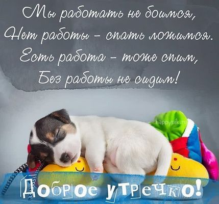Открытка «С добрым утром»: Доброе утро: сонный щенок и юмор про работу. Тэги: животное, пожелание, юмор, улыбка, утро…