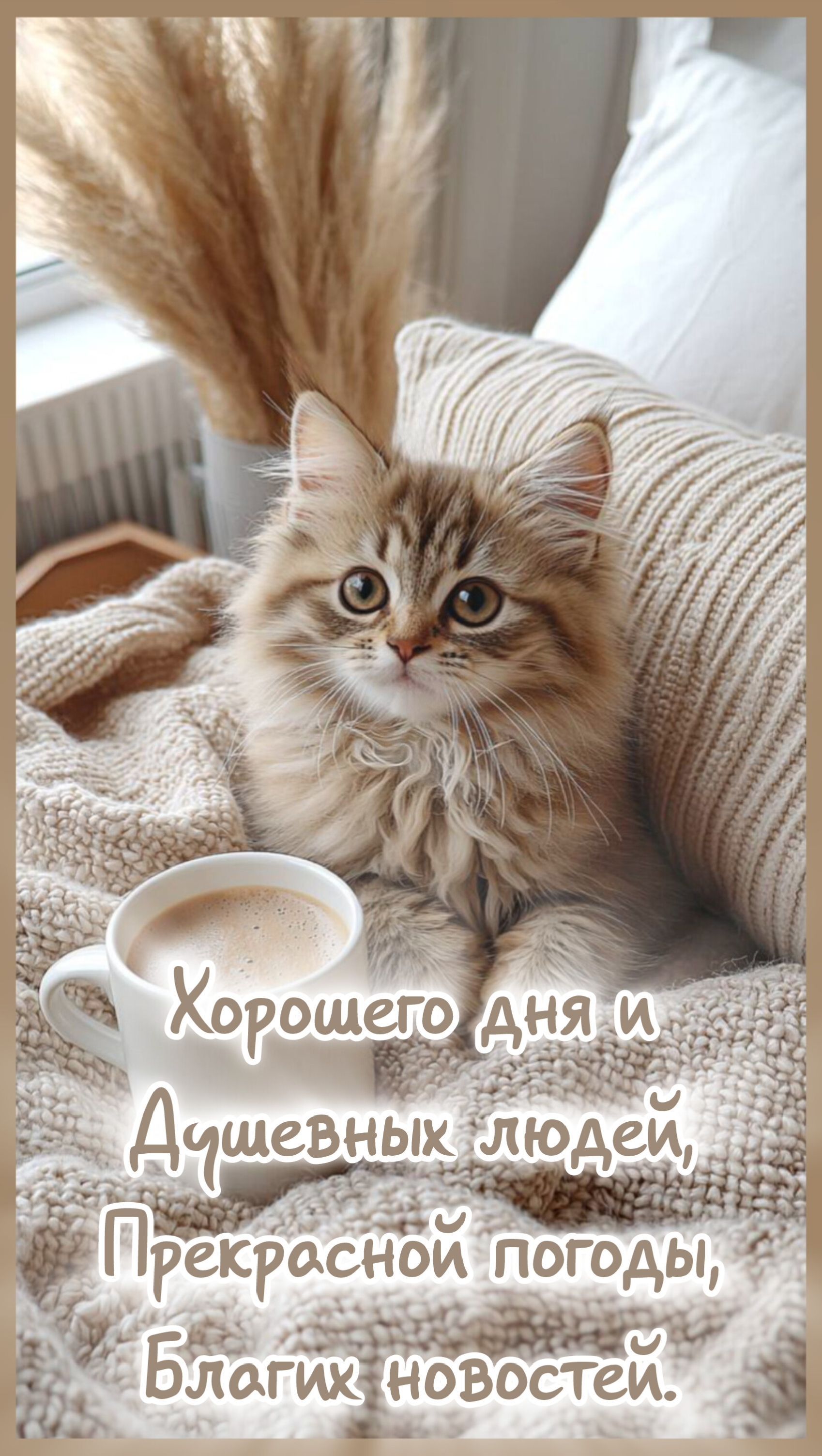 Открытка «С добрым утром»: Тёплое утро с котёнком и нежными пожеланиями. Тэги: кот, животное, пожелание, позитивная…