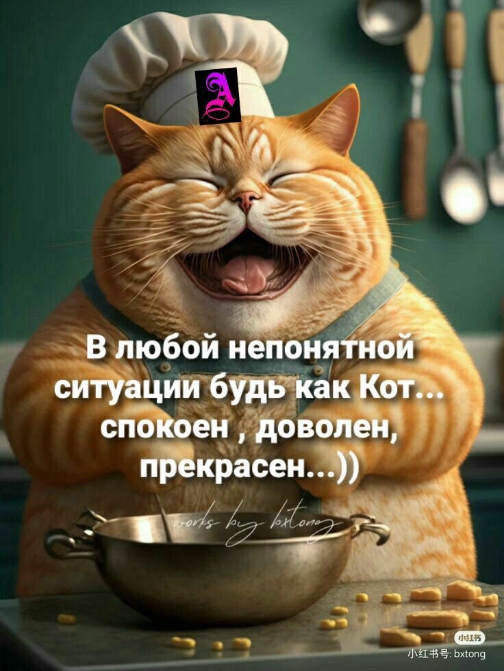 Открытка «С добрым утром»: С добрым утром: будь как Кот – спокоен, доволен!. Тэги: кот, животное, пожелание, отличное…