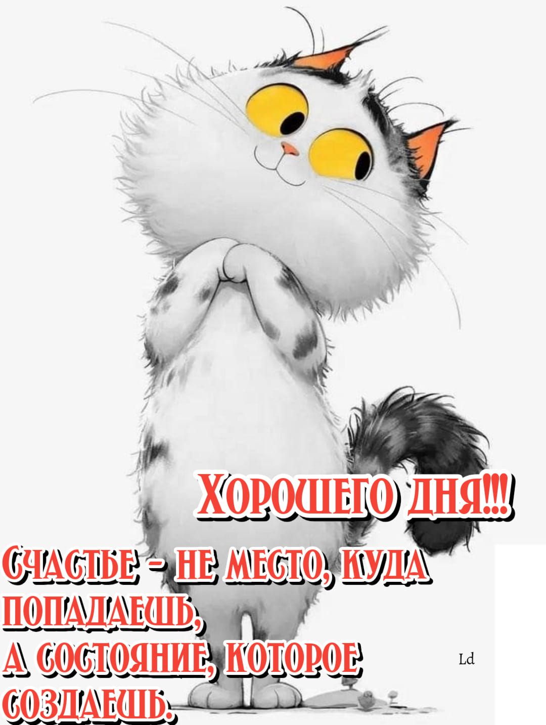 Открытка «С добрым утром»: С добрым утром! Милый котик и секрет счастья. Тэги: кот, животное, пожелание, улыбка, утро…