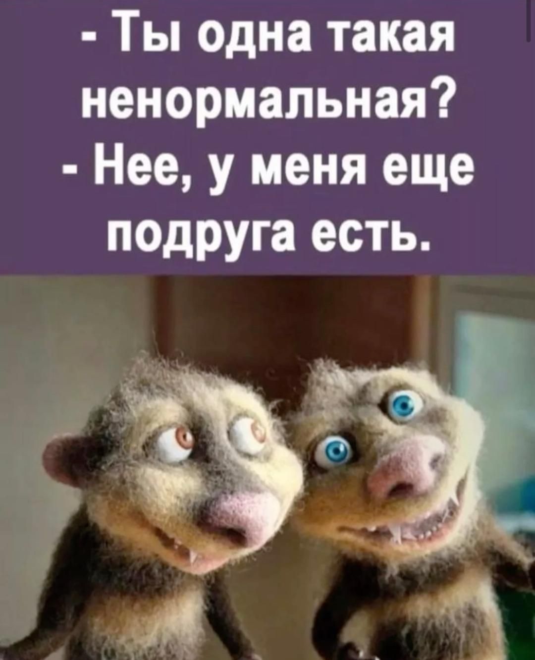 Открытка «С добрым утром»: С добрым утром, моя ненормальная подруга!. Тэги: животное, пожелание, позитивная, юмор…