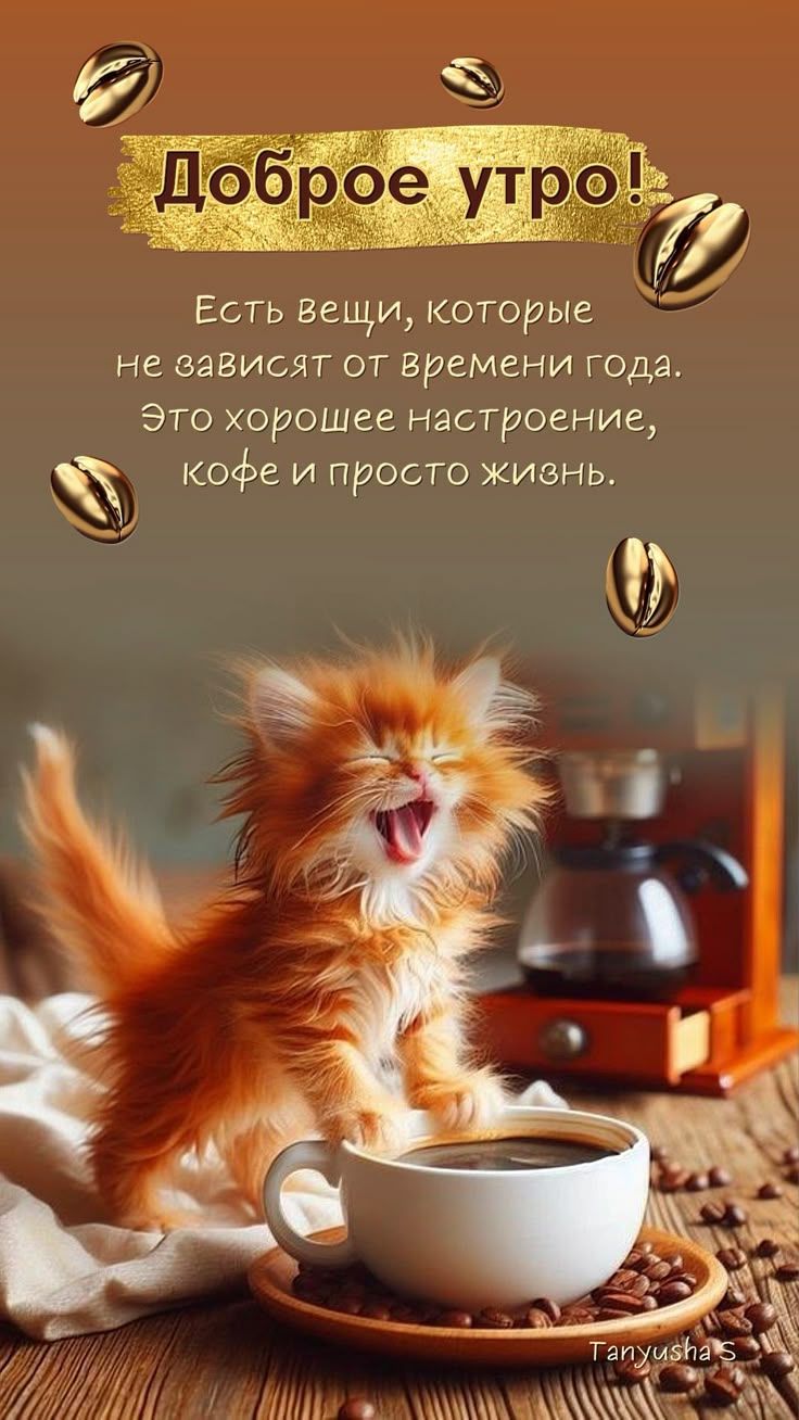 Открытка «С добрым утром»: Доброе утро: радость, кофе и пушистый кот!. Тэги: кот, животное, пожелание, позитивная…
