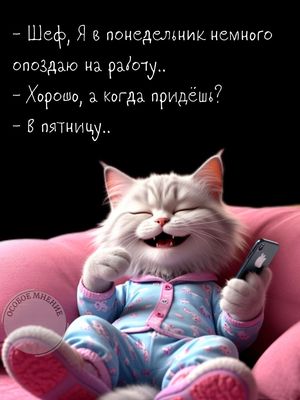 Открытка «С добрым утром»: Доброе утро! Когда на работу? В пятницу!. Тэги: кот, животное, пожелание, позитивная, юмор…