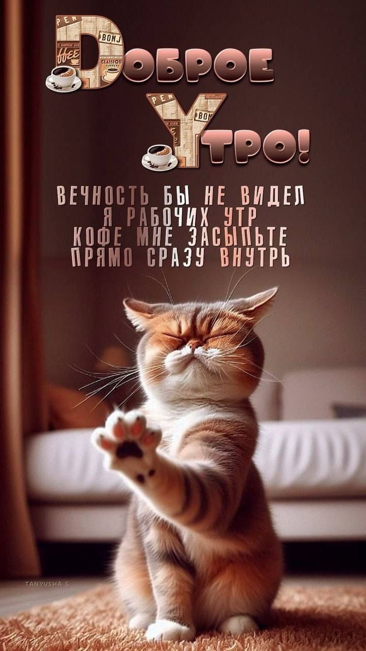 Открытка «С добрым утром»: С добрым утром: забавный кот и много кофе!. Тэги: кот, животное, пожелание, позитивная…