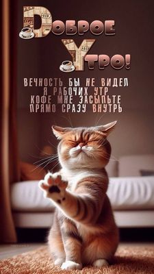Открытка «С добрым утром»: С добрым утром: забавный кот и много кофе!. Тэги: кот, животное, пожелание, позитивная…