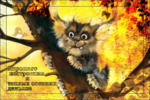 Открытка «С добрым утром»: Осеннее доброе утро и теплые деньки с милым зверьком. Тэги: кот, пожелание, позитивная…